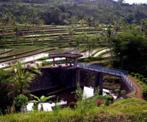 Subak Di Bali