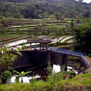 Subak Di Bali