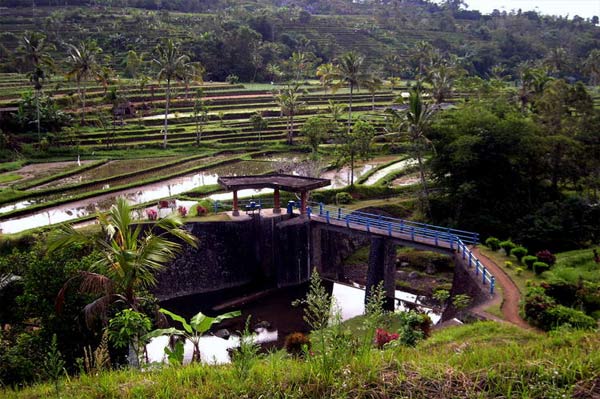 Subak Di Bali