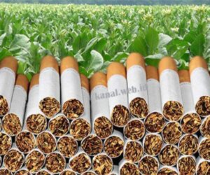 Jenis Rokok