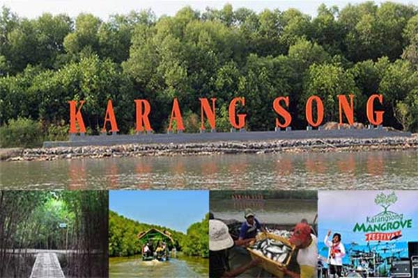 Konservasi Mangrove