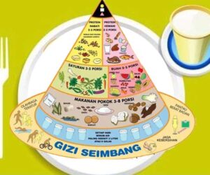 Gizi Seimbang