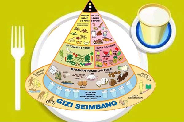 Gizi Seimbang