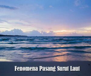 Fenomena Pasang Surut Air Laut
