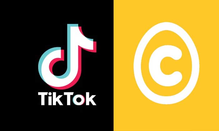 tiktok vs cuit