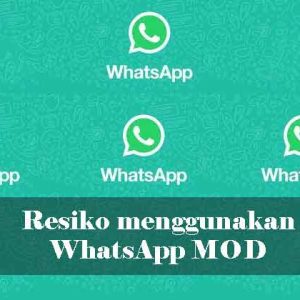 WhatsApp Mod