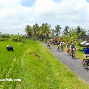 Tour Sepeda Bali