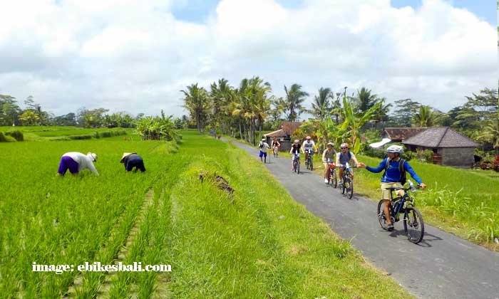 Tour Sepeda Bali