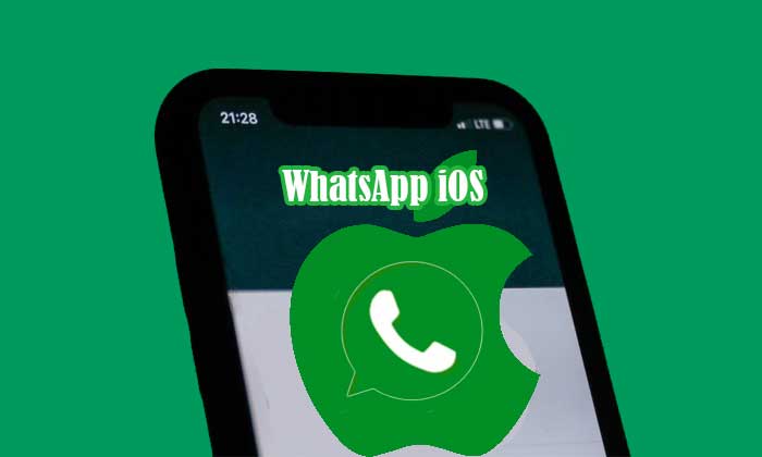 whatsapp ios apk