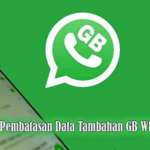 fitur pembatasan data tambahan gb whatsapp