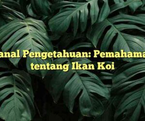 Kanal Pengetahuan: Pemahaman tentang Ikan Koi