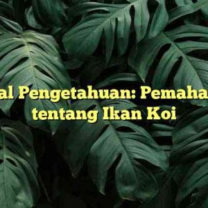 Kanal Pengetahuan: Pemahaman tentang Ikan Koi