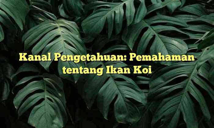 Kanal Pengetahuan: Pemahaman tentang Ikan Koi