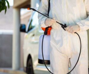 penyemprotan disinfektan