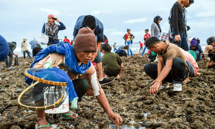 Upacara Adat Bau Nyale